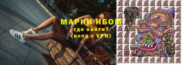 шишки Балахна