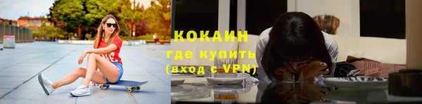 шишки Балахна