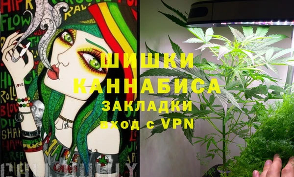 шишки Балахна
